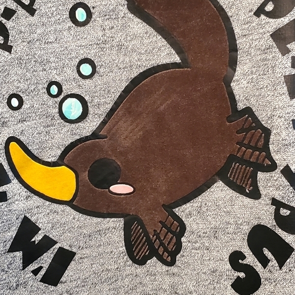 Original weatherproof vintage sz med grey sweatshirt. With platypus - Picture 3 of 8